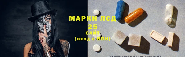 ПСИЛОЦИБИНОВЫЕ ГРИБЫ Алексин