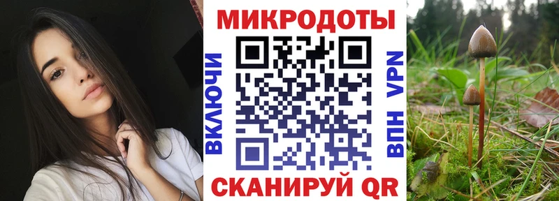 Галлюциногенные грибы Cubensis Железногорск